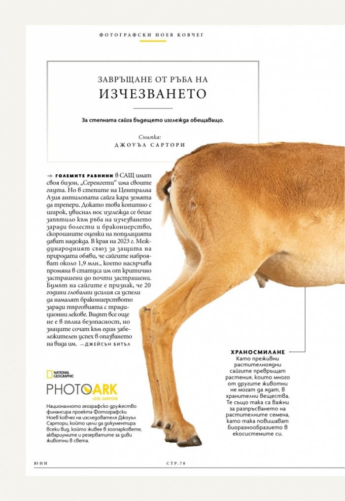 National Geographic България Юни/2024