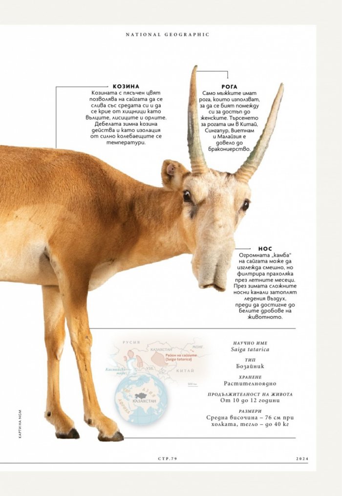 National Geographic България Юни/2024