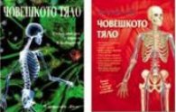Човешкото тяло. Пъзел + Човешкото тяло. Енциклопедия с адреси в Интернет