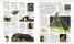 Animal : The Definitive Visual Guide