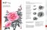 Sumi-e : The Mindful Art of Japanese Ink Painting