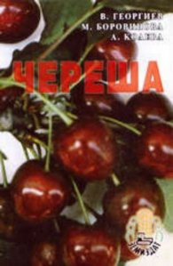 *Череша