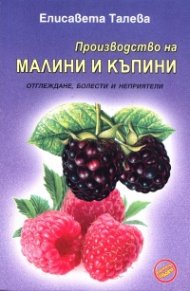 Производство на малини и къпини