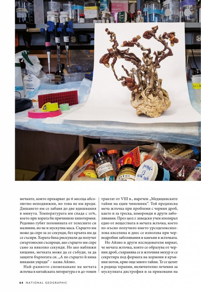 National Geographic България 4/2019