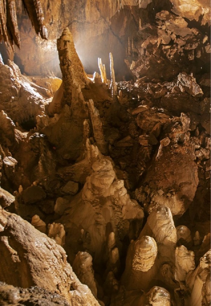 National Geographic България 4/2019