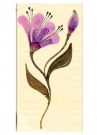 Бележник Paperblanks Serpentine Slim, Lined/ 6373