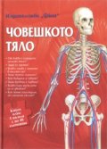 Човешкото тяло. Книга плюс 5 пъзела с по 48 елемента