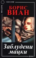 Заблудени мацки