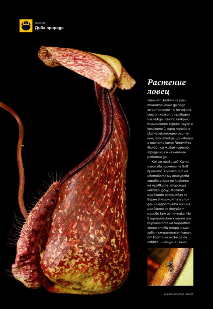 National Geographic България 04/2016