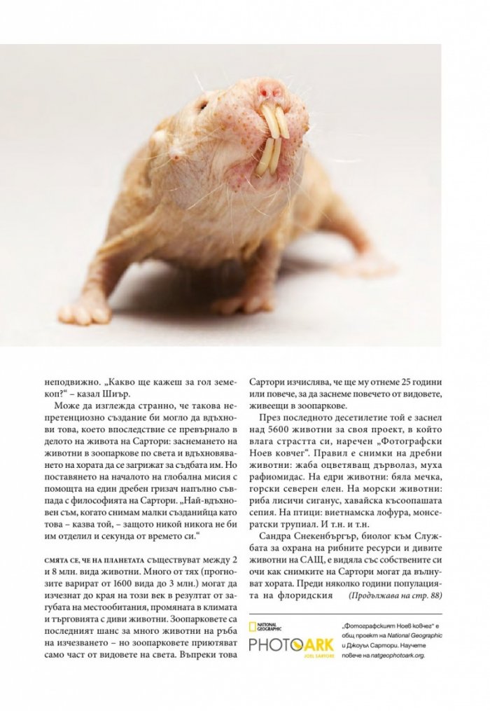 National Geographic България 04/2016