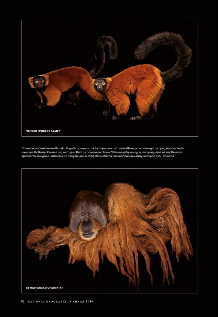 National Geographic България 04/2016