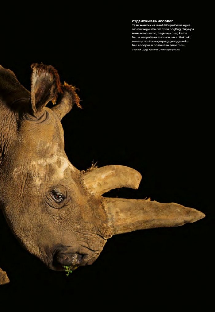 National Geographic България 04/2016