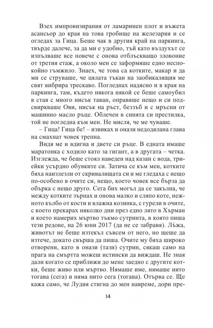 VeneRare. Нова религия се заражда между блоковете