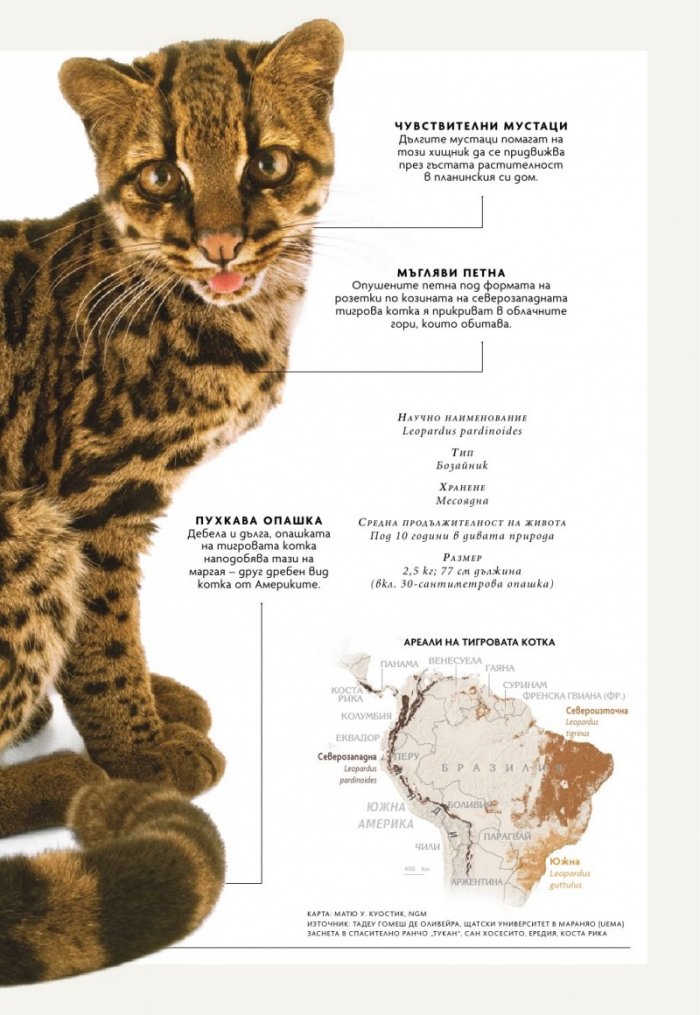 National Geographic България Август/2024