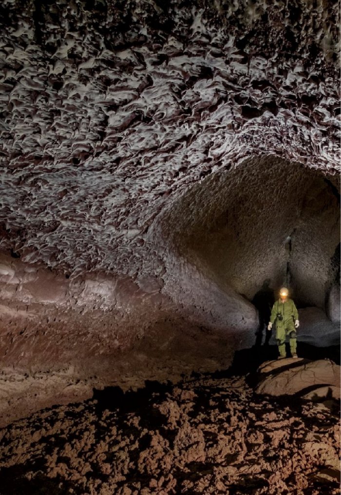 National Geographic България Август/2024