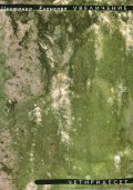 Увеличение четиридесет
