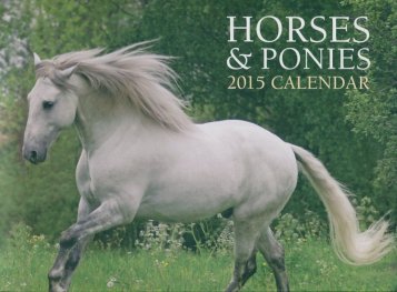 Calendar 2015: Horses & Ponies