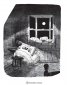 Скункс и язовец