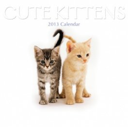 Calendar 2013: Cute Kittens