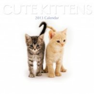 Calendar 2013: Cute Kittens