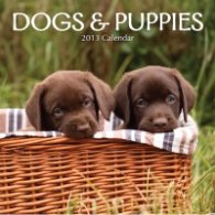 Calendar 2013: Dogs & Puppies