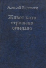 Живот като строшено огледало