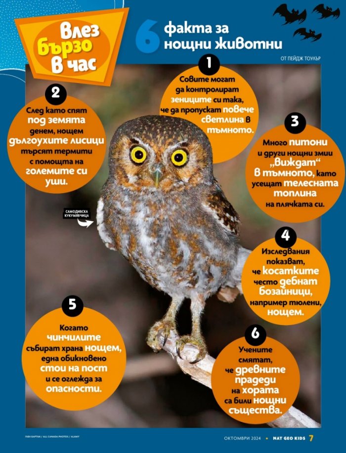 National Geographic KIDS България Октомври/2024