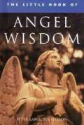 The Little Book of Angel Wisdom