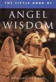 The Little Book of Angel Wisdom