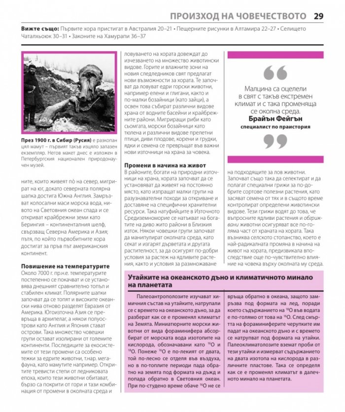 Книгата за историята (Големите идеи обяснени просто)