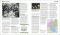 The World War II Book : Big Ideas Simply Explained