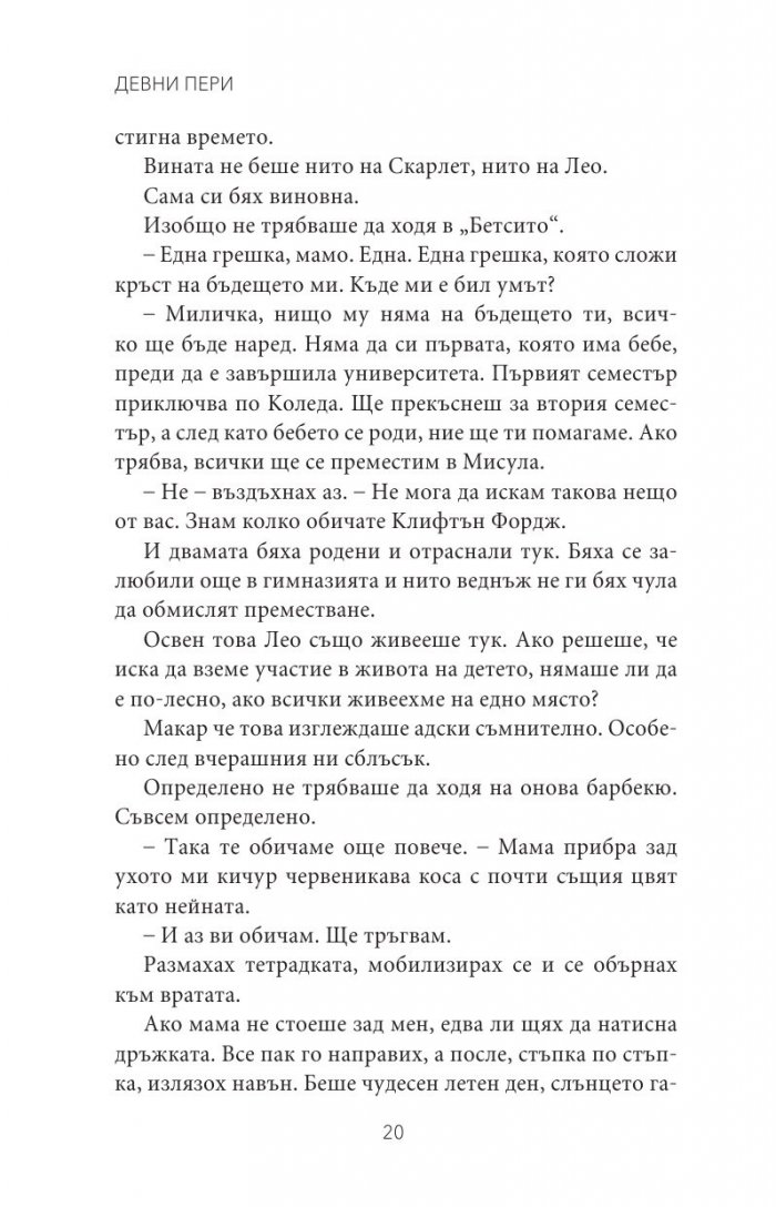 Паднал шут Кн.5 от поредицата Тенекиени номади