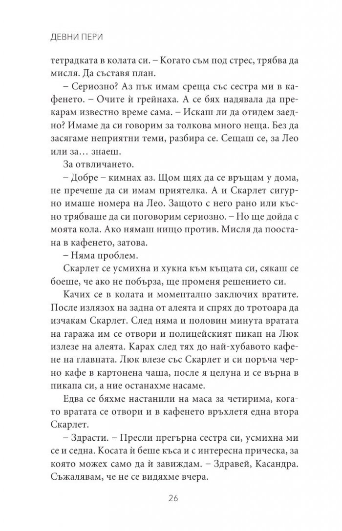Паднал шут Кн.5 от поредицата Тенекиени номади