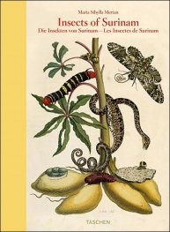 Maria Sibylla Merian, Insects of Surinam