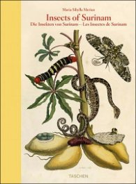 Maria Sibylla Merian, Insects of Surinam
