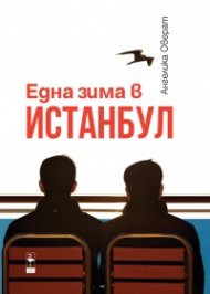 Една зима в Истанбул