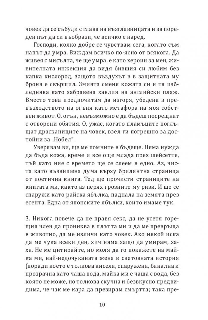 Еуфория. Роман за Силвия Плат