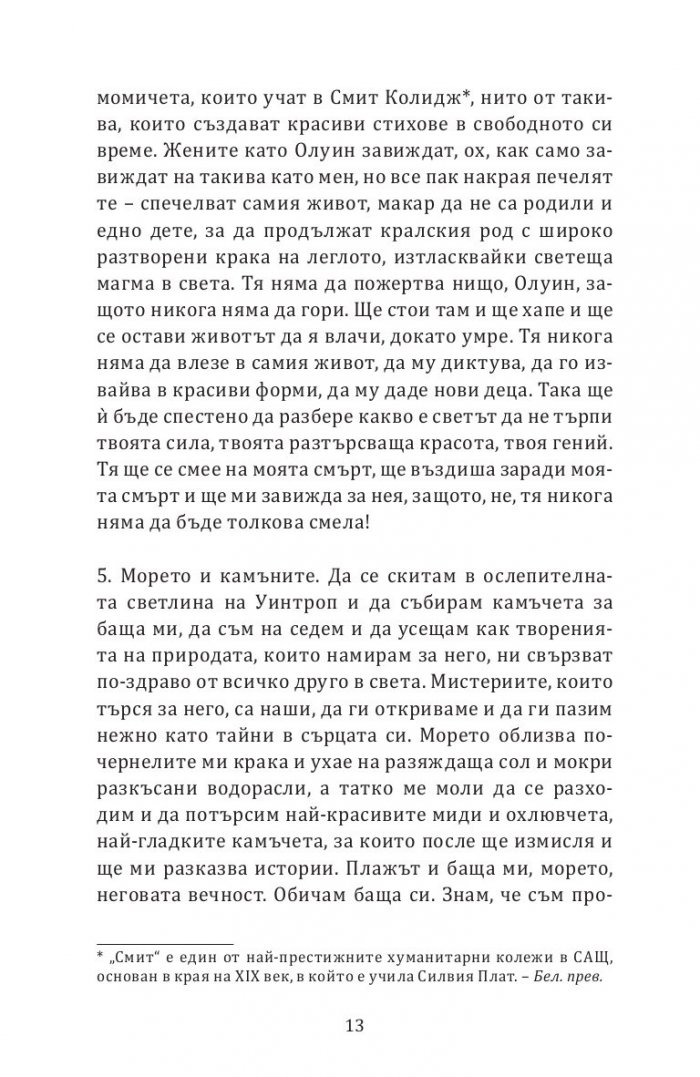 Еуфория. Роман за Силвия Плат