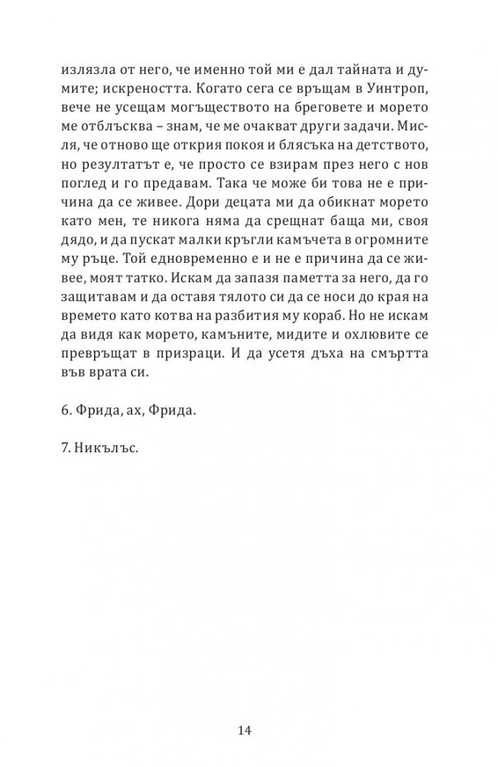 Еуфория. Роман за Силвия Плат