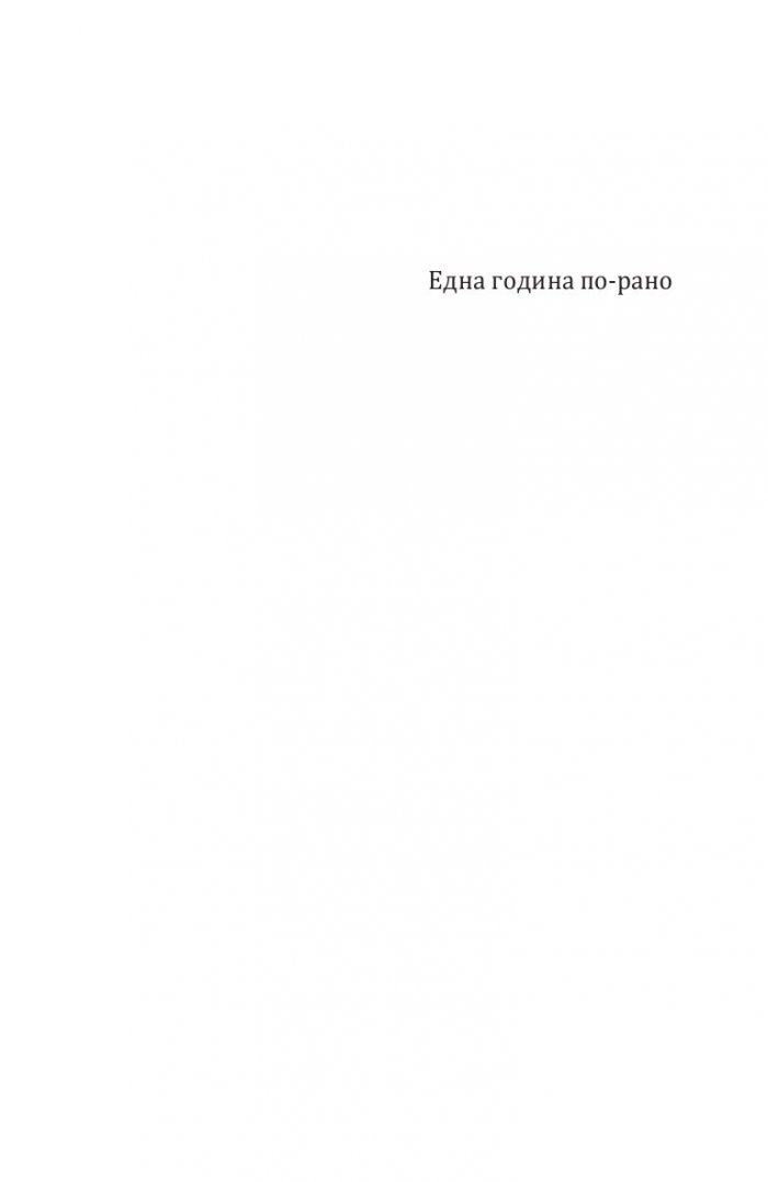 Еуфория. Роман за Силвия Плат
