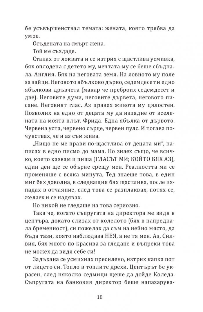 Еуфория. Роман за Силвия Плат