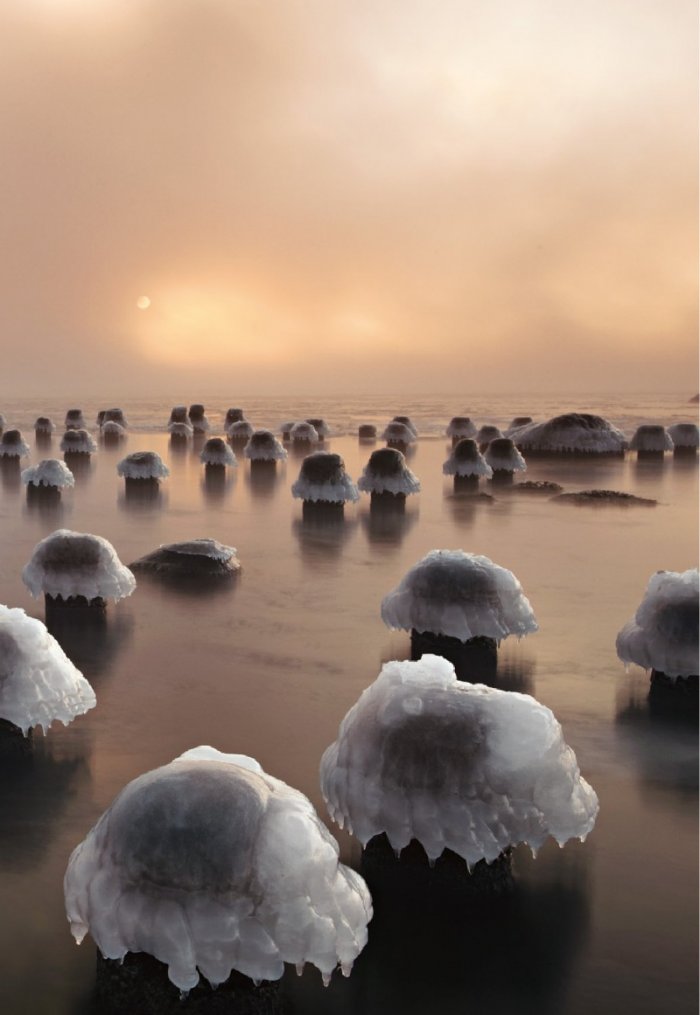 National Geographic България 03/2017