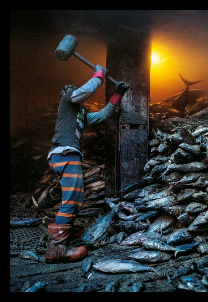 National Geographic България 03/2017