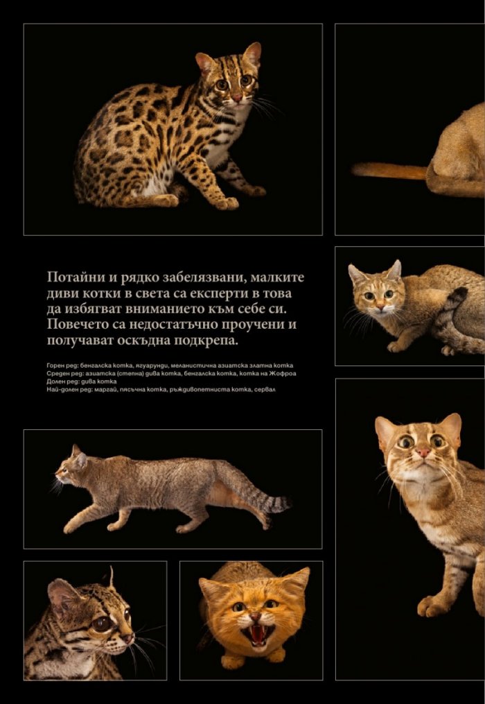 National Geographic България 03/2017
