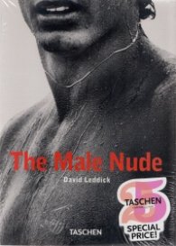 The Male Nude