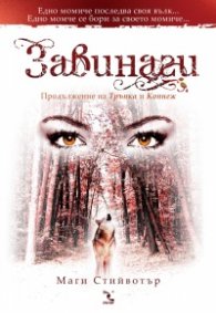 Завинаги