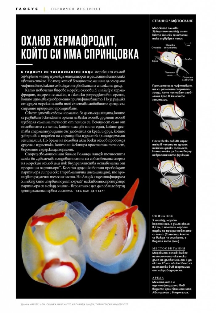 National Geographic България Април/2022
