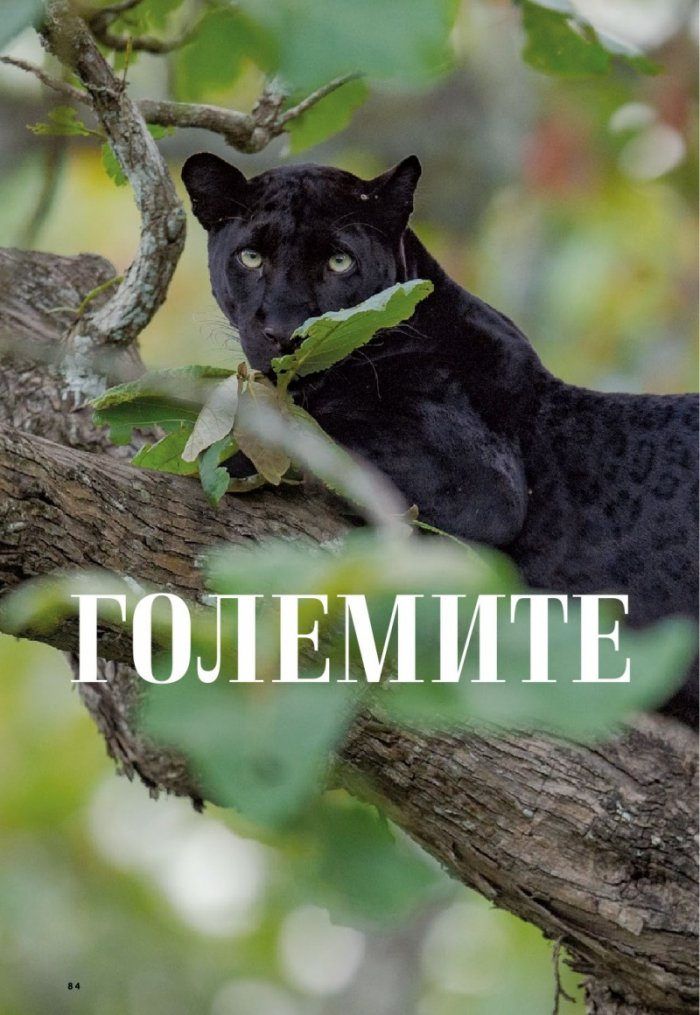 National Geographic България Април/2022