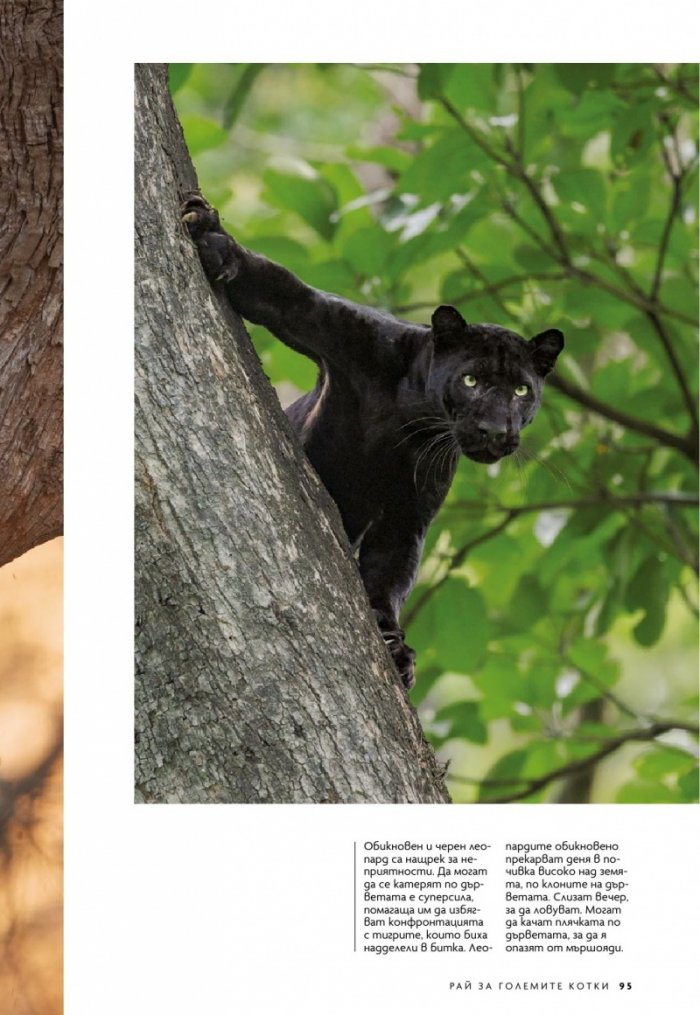 National Geographic България Април/2022