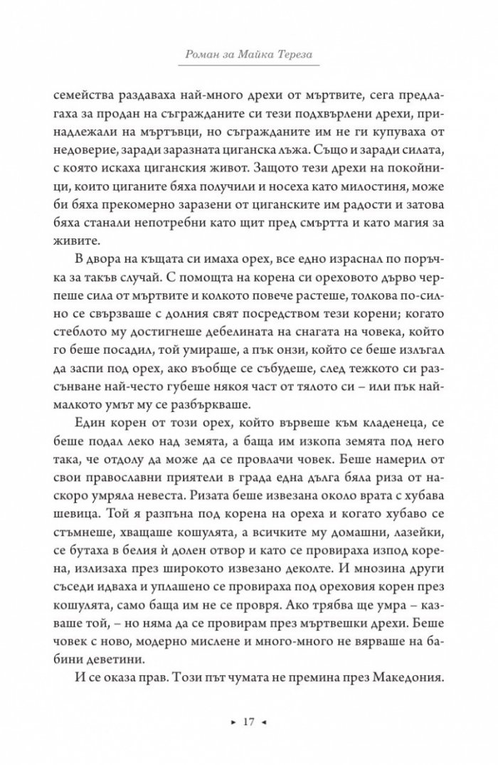 Роман за Майка Тереза